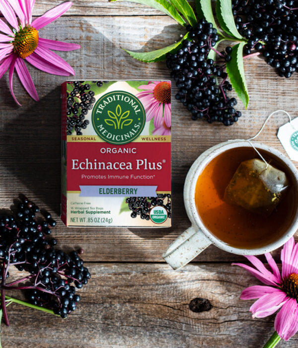 Traditional Medicinals Echinacea Elder Tea (6x16 Bag) - Image 5