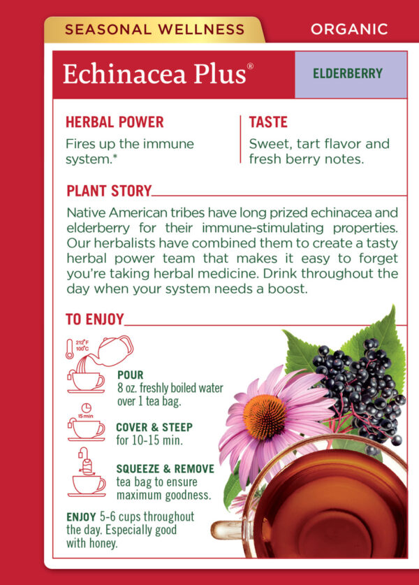 Traditional Medicinals Echinacea Elder Tea (6x16 Bag) - Image 2