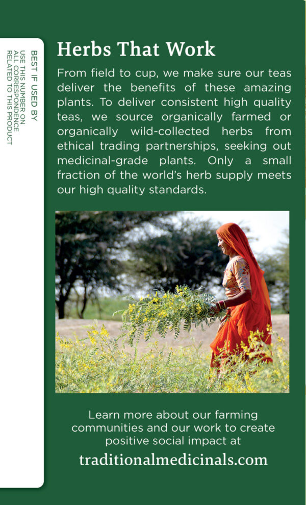Traditional Medicinals Ginger Tea (6x16 Bag) - Image 3