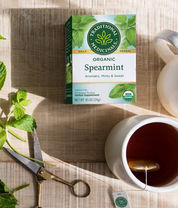 Traditional Medicinals Spearmint Tea (6x16 Bag) - Image 5