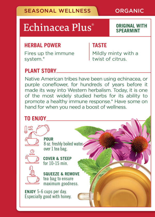Traditional Medicinals Echinacea Pls Tea (6x16 Bag) - Image 2