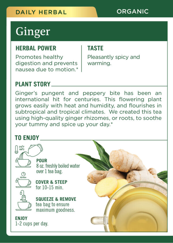 Traditional Medicinals Ginger Tea (6x16 Bag) - Image 2