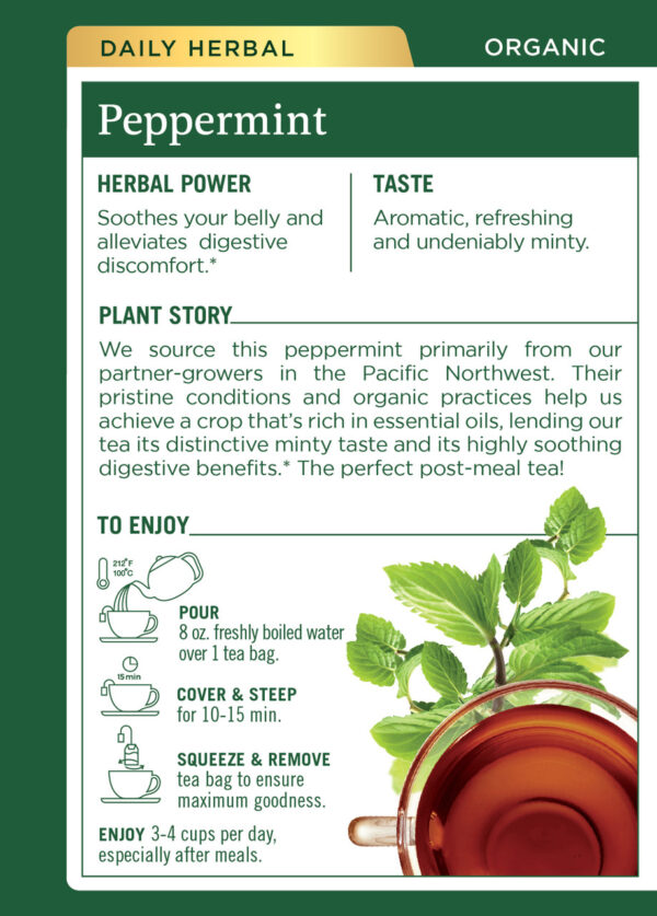 Traditional Medicinals Peppermint Tea (6x16 Bag) - Image 2