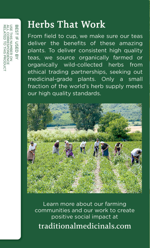 Traditional Medicinals Chamomile Tea (6x16 Bag) - Image 3