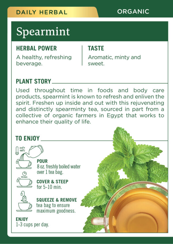 Traditional Medicinals Spearmint Tea (6x16 Bag) - Image 2